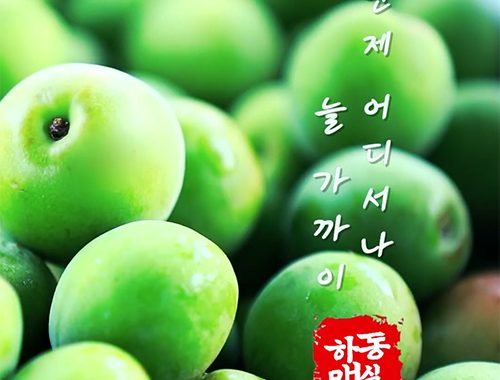 하동군 농산물 유튜브 광고