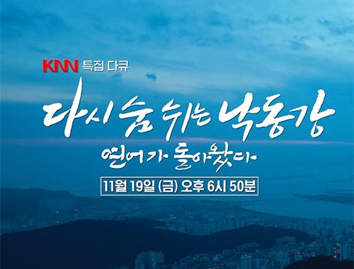 다시 숨쉬는 낙동강 연어가 돌아왔다